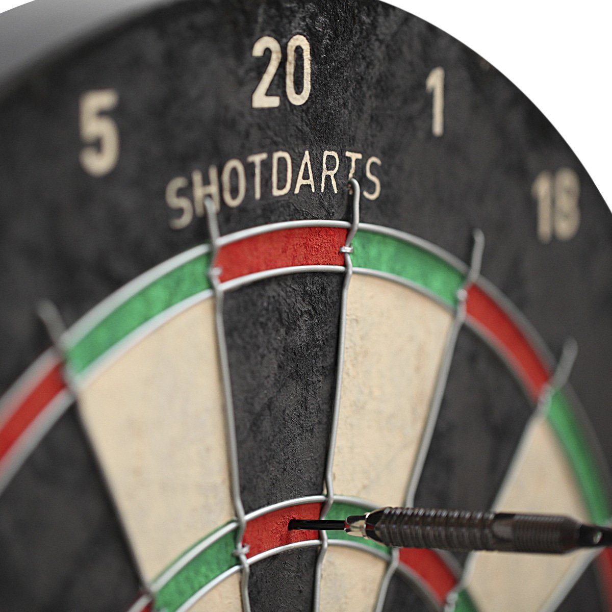 TARCZA SHOT Rogue Bristle Dartboard