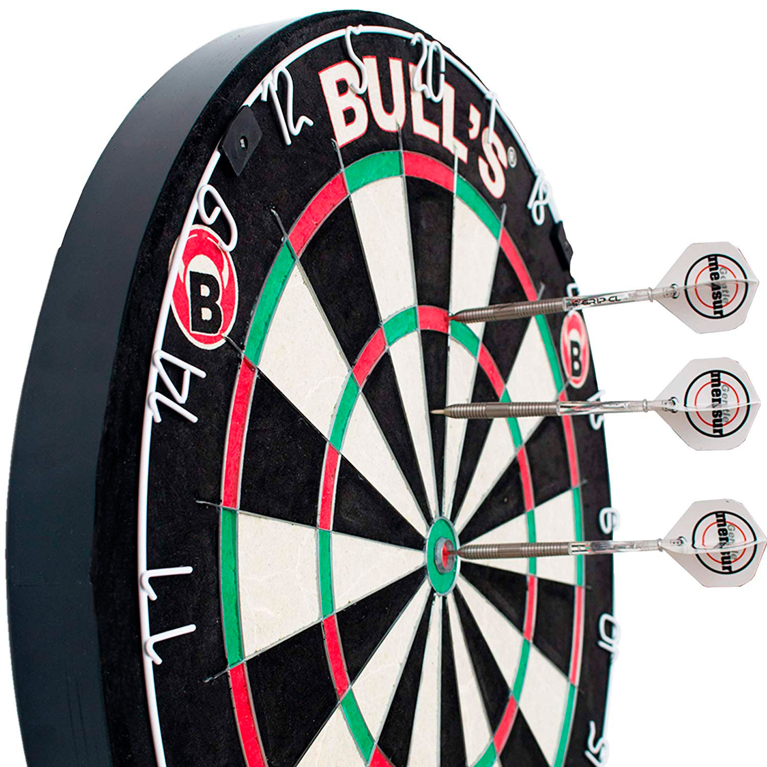 TARCZA BULL'S Focus II Bristle Board